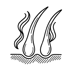Cheratine
