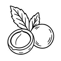 MACADAMIA