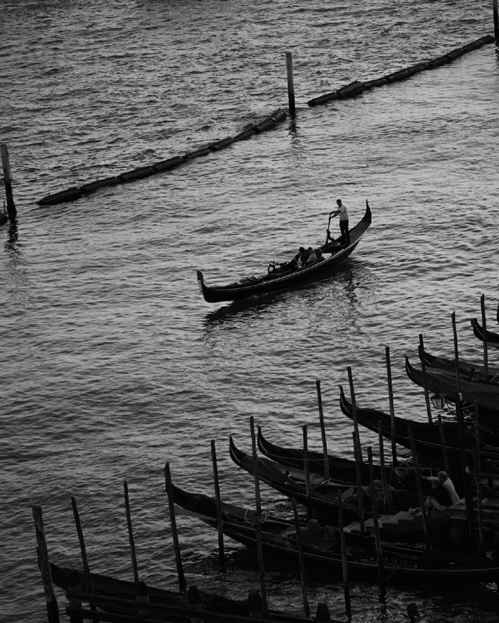 Venecia - MY.ORGANICS Made in Italy