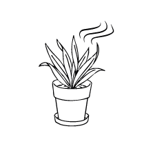Purifying